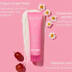 Vinohydra Sorbet Cream Moisturizer