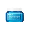 Vital Hydra Solution Hydro Plump Water Cream