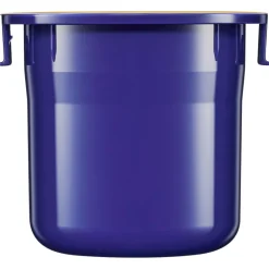 Vital Perfection Overnight Firming Treatment