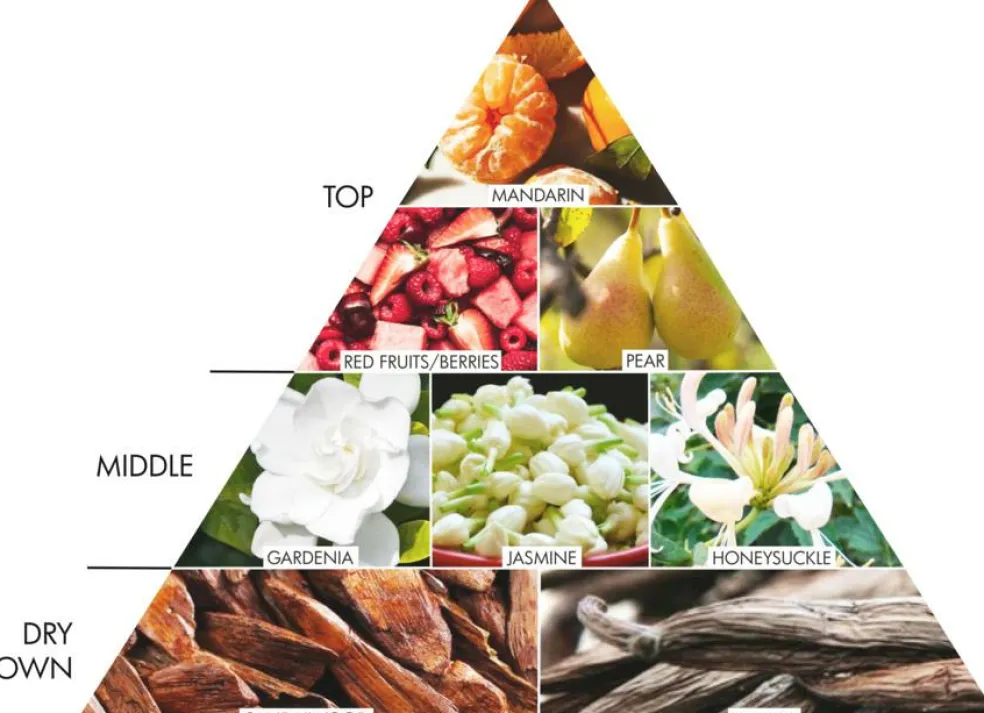 Vive La Liberté Body Lotion