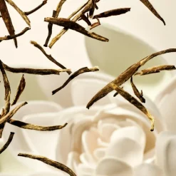 Whipped Body Cream Refill