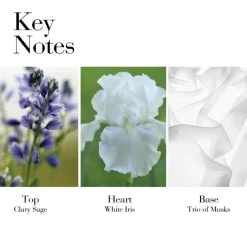 White Tea Body Cream